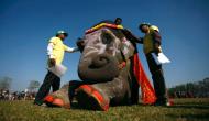 Judges look at an adorned elephant